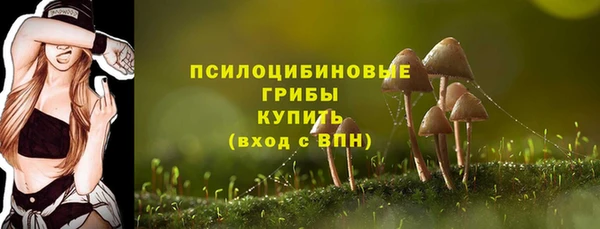дмт Алексеевка
