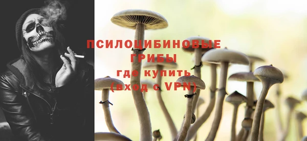 гидропоника Алзамай
