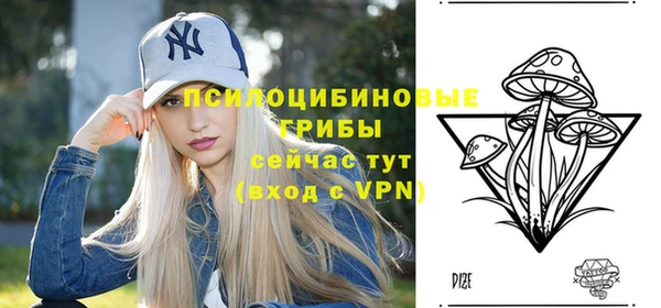 гидропоника Алзамай
