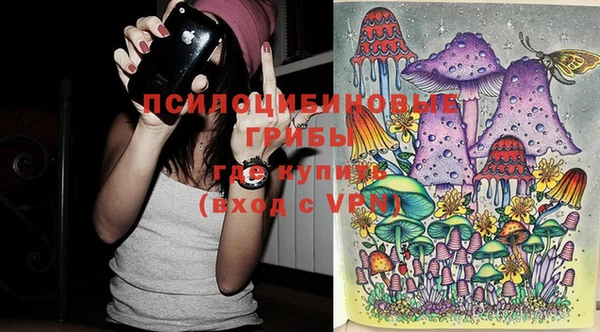 дмт Алексеевка