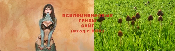 дмт Алексеевка